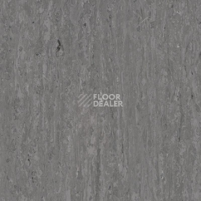 Линолеум Tarkett iq Optima NEUTRAL DARK GREY 0243 фото 1 | FLOORDEALER